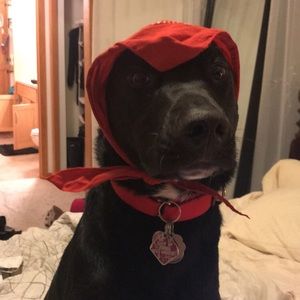 Meet your Posher, Kjersti